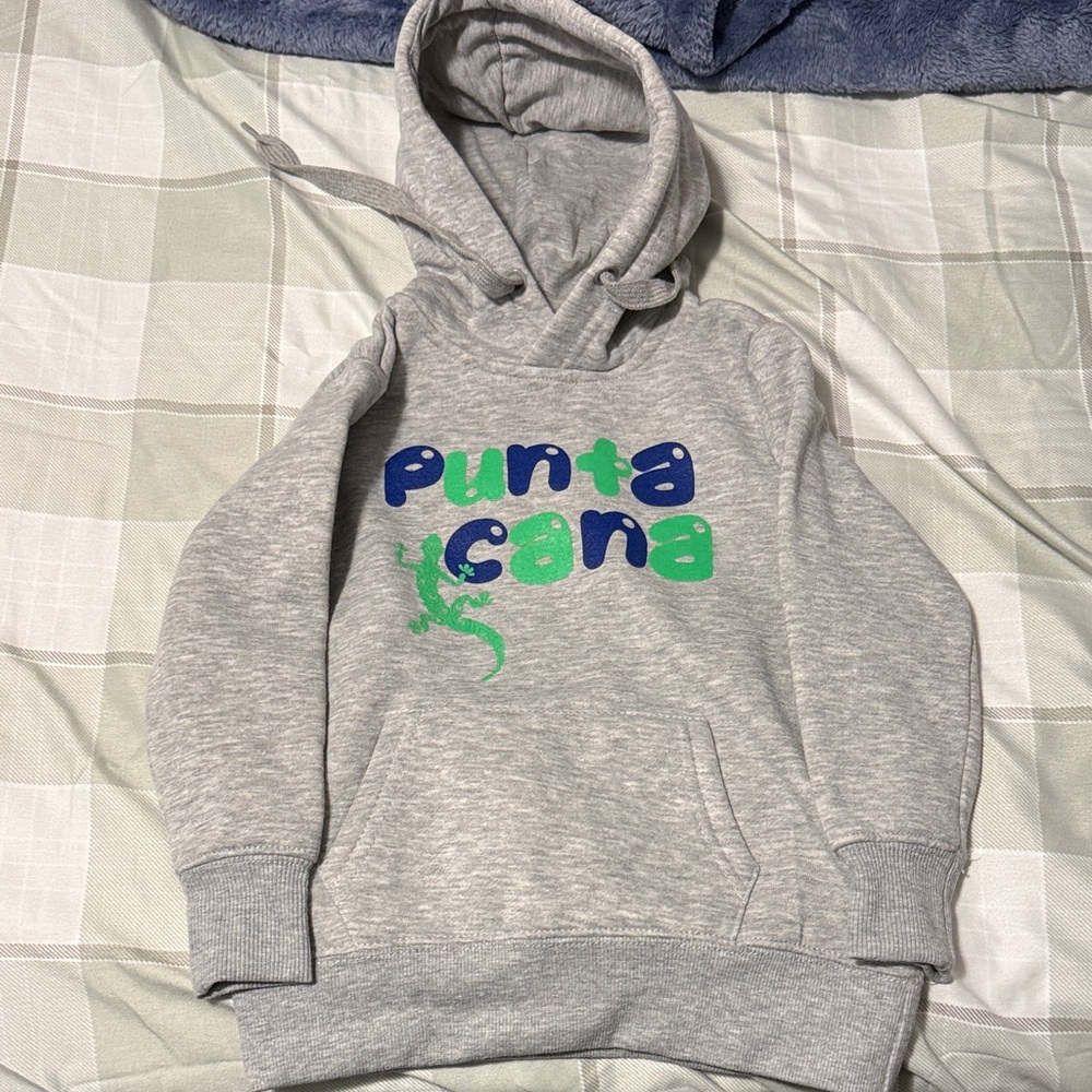 Source Unknown Gray Kids Hooded Sweatshirt with Blue & Green Punta Cana Graphic